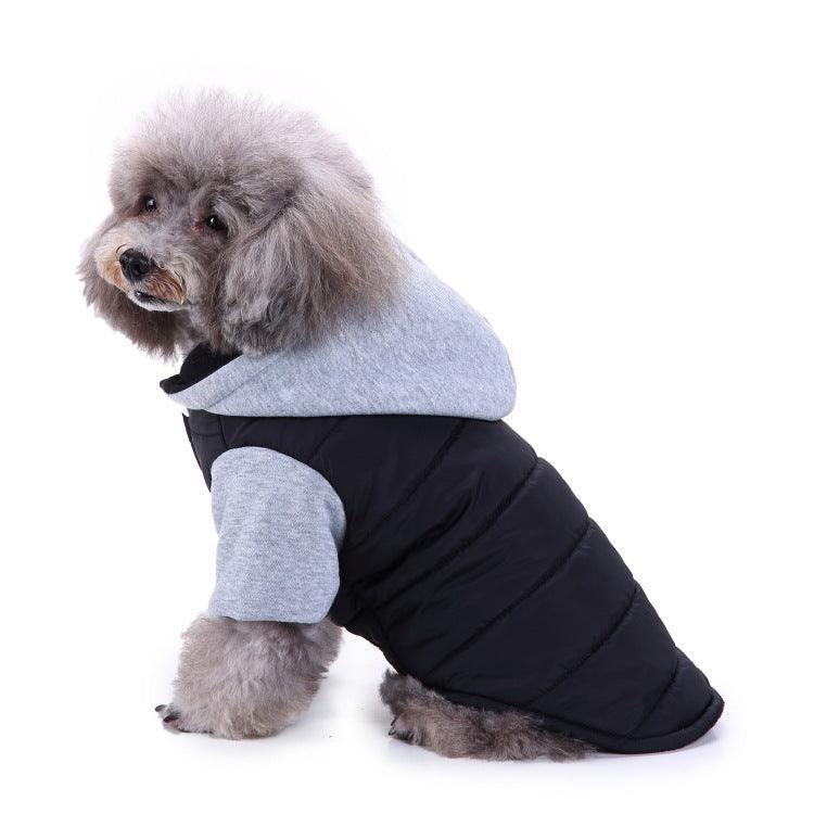 Cozy Paws: Autumn And Winter Pet Sweater
