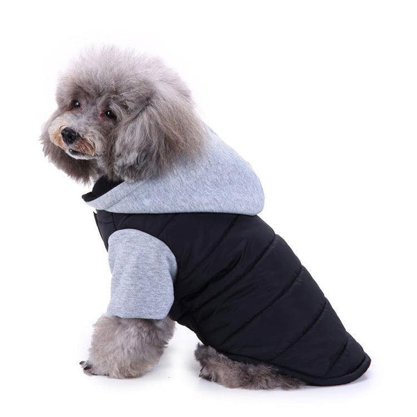 Cozy Paws: Autumn And Winter Pet Sweater